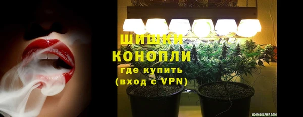 apvp Богданович