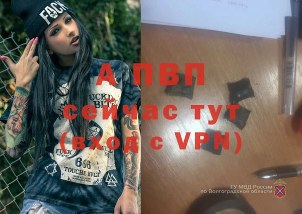 apvp Богданович