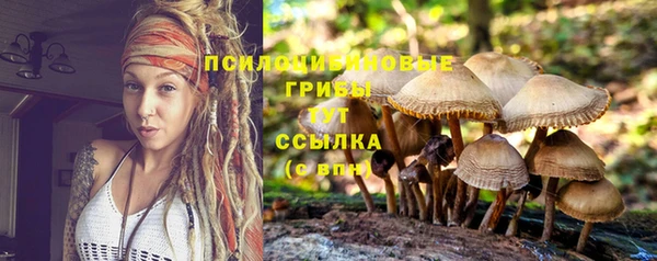 марки nbome Богородицк