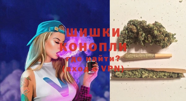 сатива Богородск