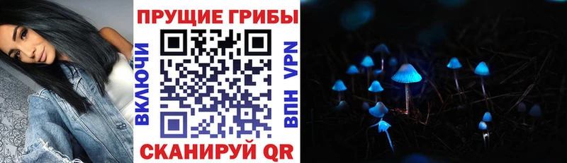 нарко площадка формула  Великий Новгород  Псилоцибиновые грибы MAGIC MUSHROOMS  магазин продажи  
